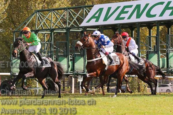 ET0Q0066a prot